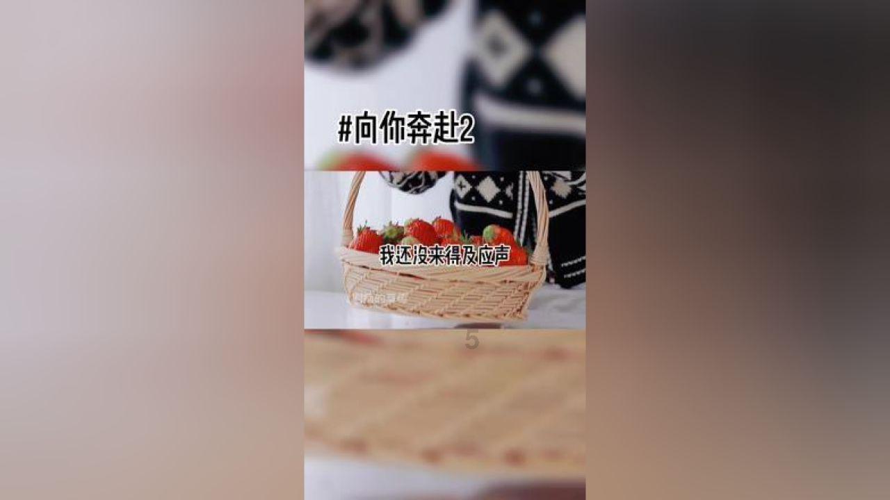 空中滑翔机