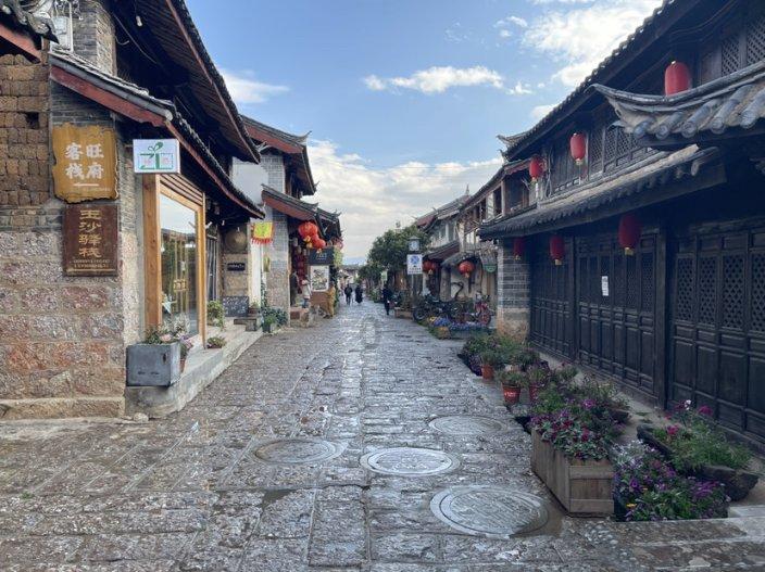 学习插花艺术